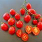 Fiaschetto di Manduria DER TOMATENFLÜSTERER