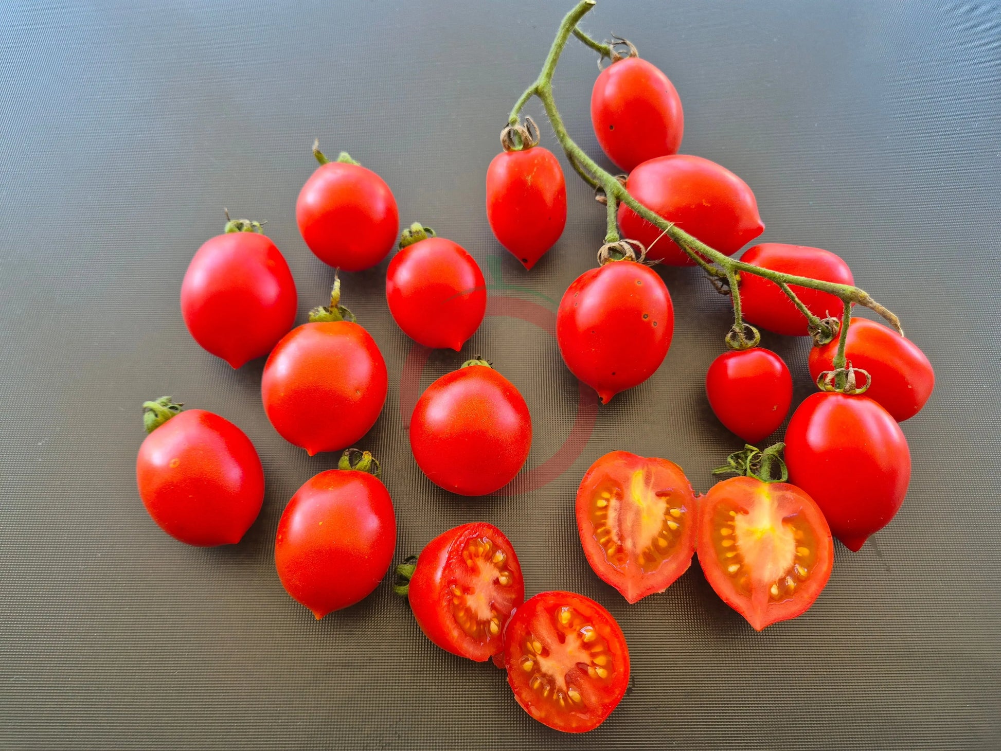 Fiaschetto di Manduria DER TOMATENFLÜSTERER