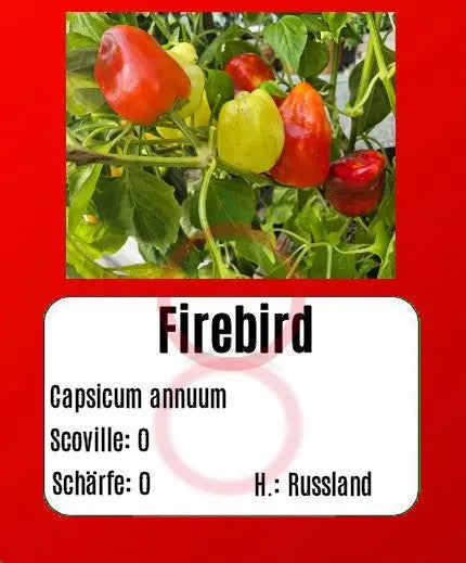 Firebird DER TOMATENFLÜSTERER