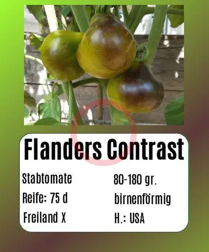 Flanders Contrast DER TOMATENFLÜSTERER