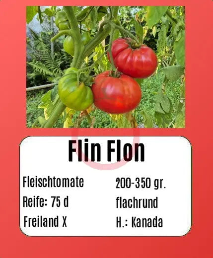 Flin Flon DER TOMATENFLÜSTERER