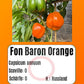 Fon Baron Orange DER TOMATENFLÜSTERER