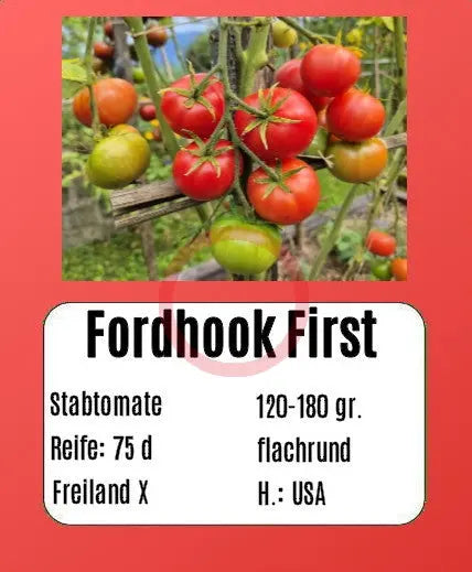 Fordhook First DER TOMATENFLÜSTERER