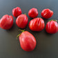 Fragola della Garfagnana DER TOMATENFLÜSTERER