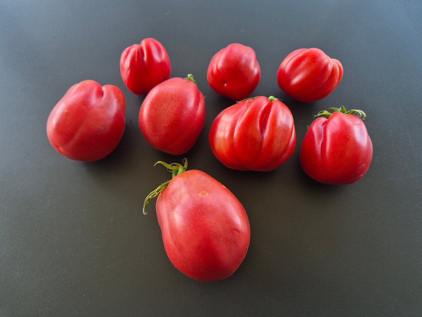 Fragola della Garfagnana DER TOMATENFLÜSTERER