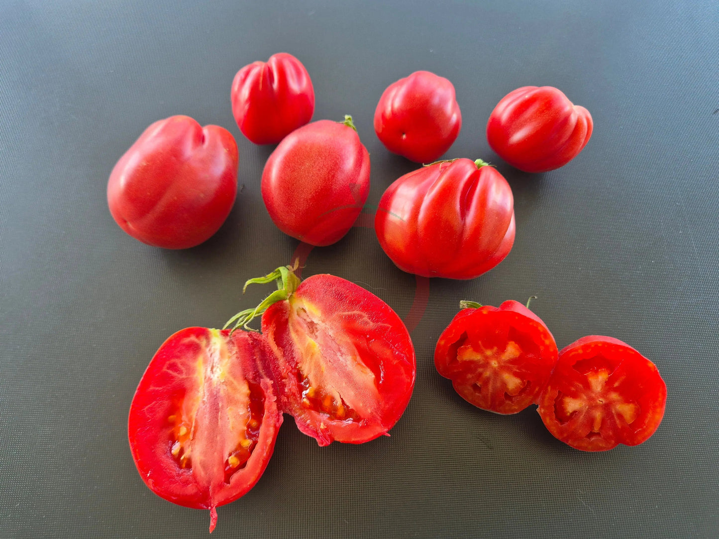 Fragola della Garfagnana DER TOMATENFLÜSTERER