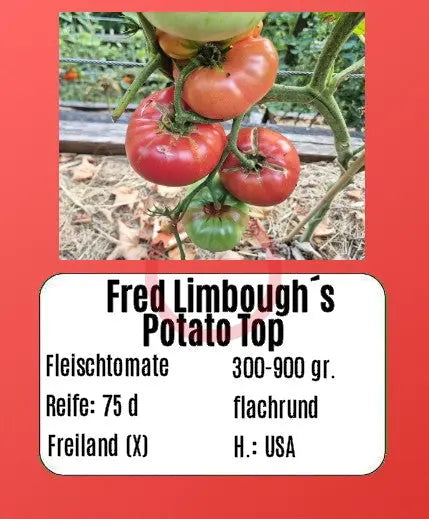 Fred Limbaugh‘s Potato Top DER TOMATENFLÜSTERER