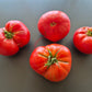 Fred Limbaugh‘s Potato Top DER TOMATENFLÜSTERER