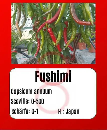 Fushimi DER TOMATENFLÜSTERER