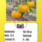 Gail DER TOMATENFLÜSTERER