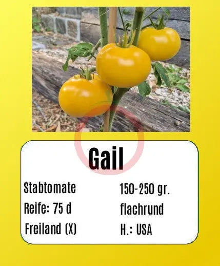 Gail DER TOMATENFLÜSTERER