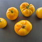 Gail DER TOMATENFLÜSTERER