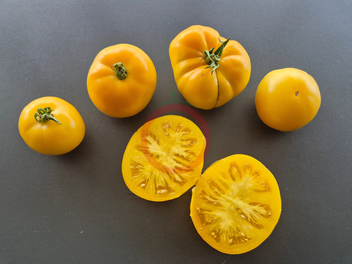 Gail DER TOMATENFLÜSTERER