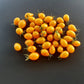 Galapagos DER TOMATENFLÜSTERER
