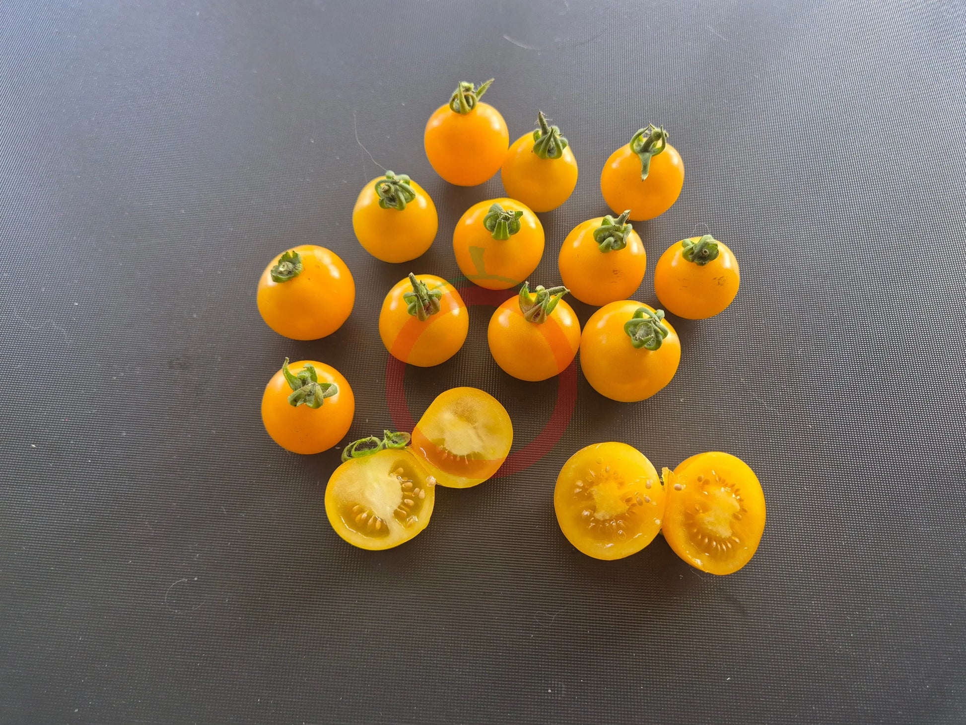 Galina DER TOMATENFLÜSTERER
