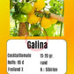 Galina DER TOMATENFLÜSTERER