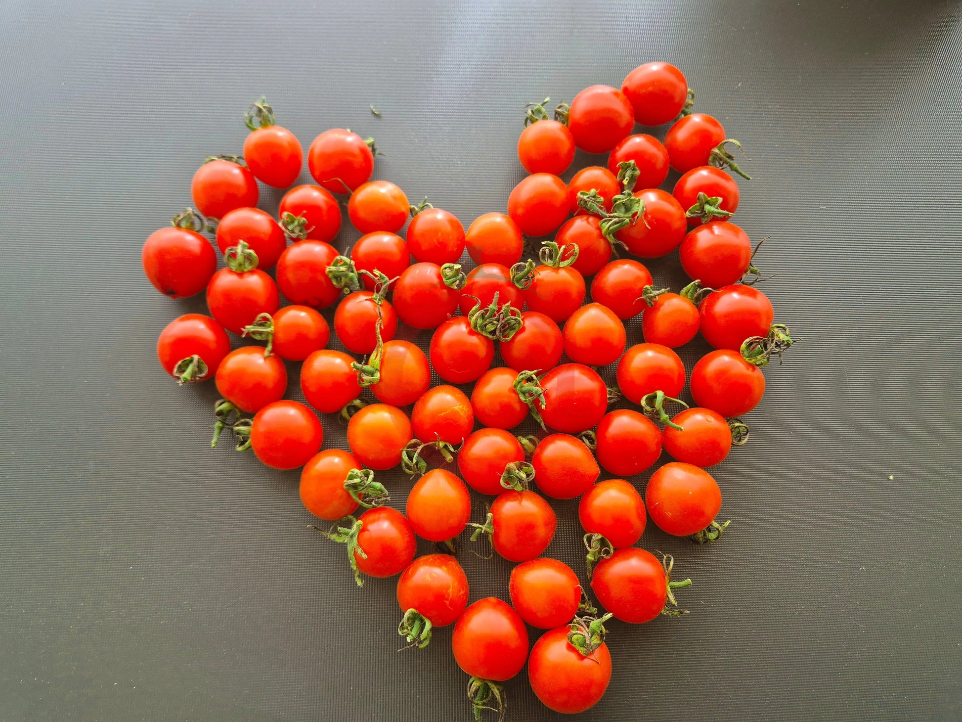 Gardener Sweet-Heart DER TOMATENFLÜSTERER