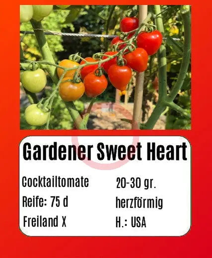 Gardener Sweet-Heart DER TOMATENFLÜSTERER