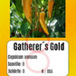Gatherers Gold DER TOMATENFLÜSTERER