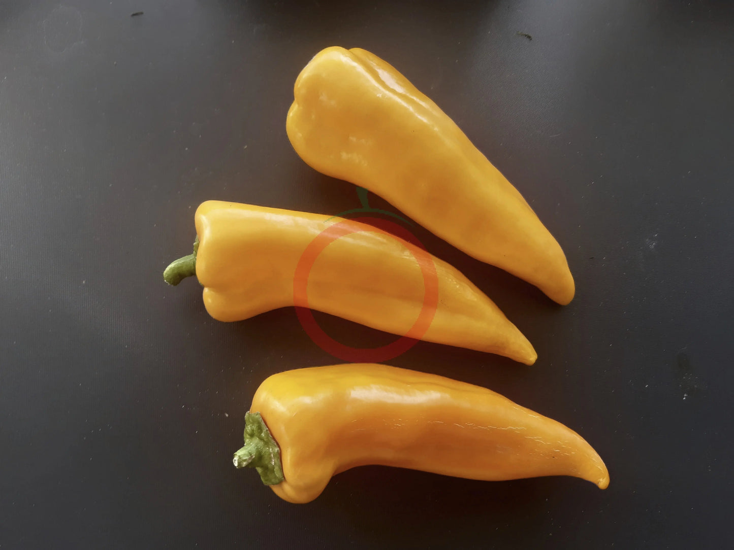 Gatherers Gold DER TOMATENFLÜSTERER
