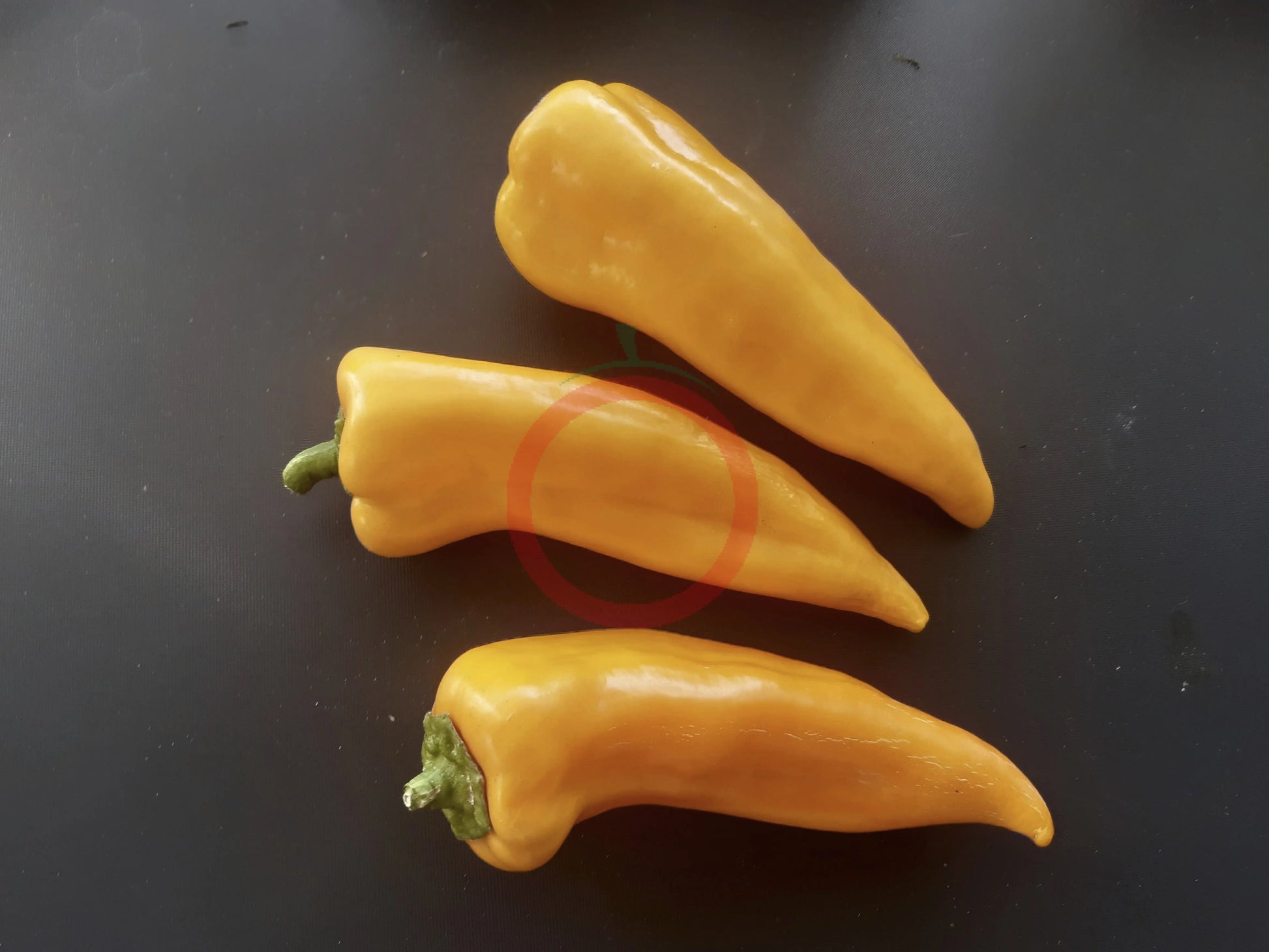 Gatherers Gold DER TOMATENFLÜSTERER