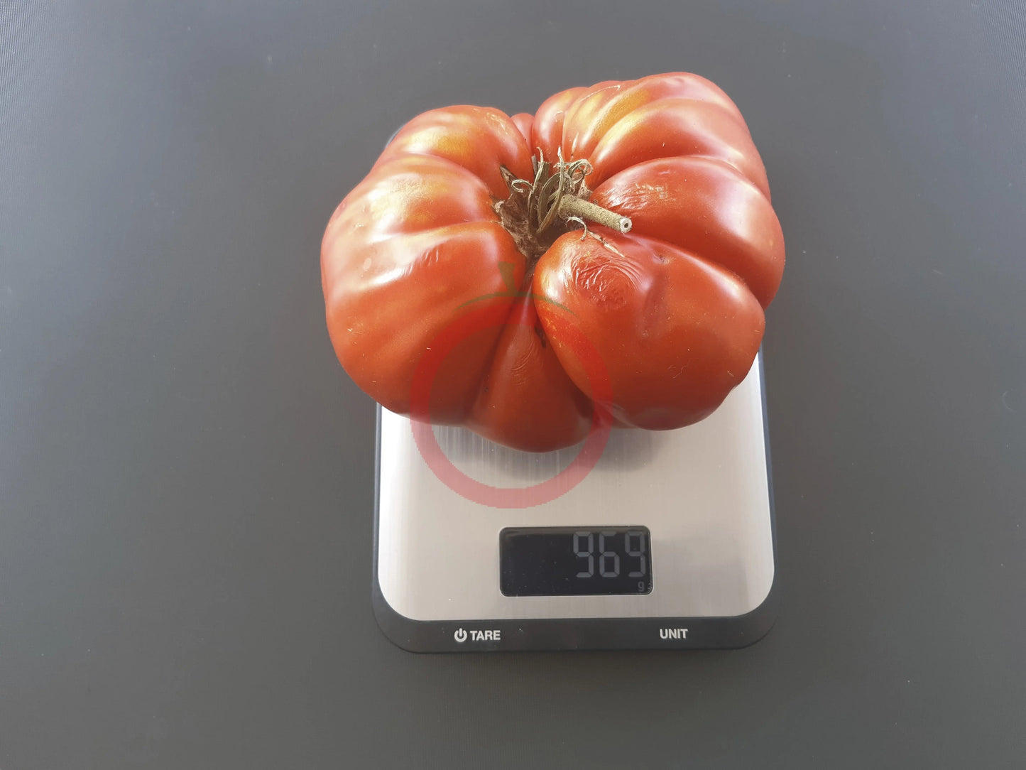 George Detsika´s Italian Red DER TOMATENFLÜSTERER