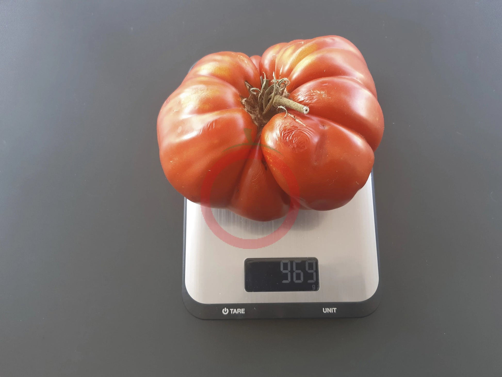 George Detsika´s Italian Red DER TOMATENFLÜSTERER