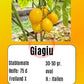 Giagiu DER TOMATENFLÜSTERER