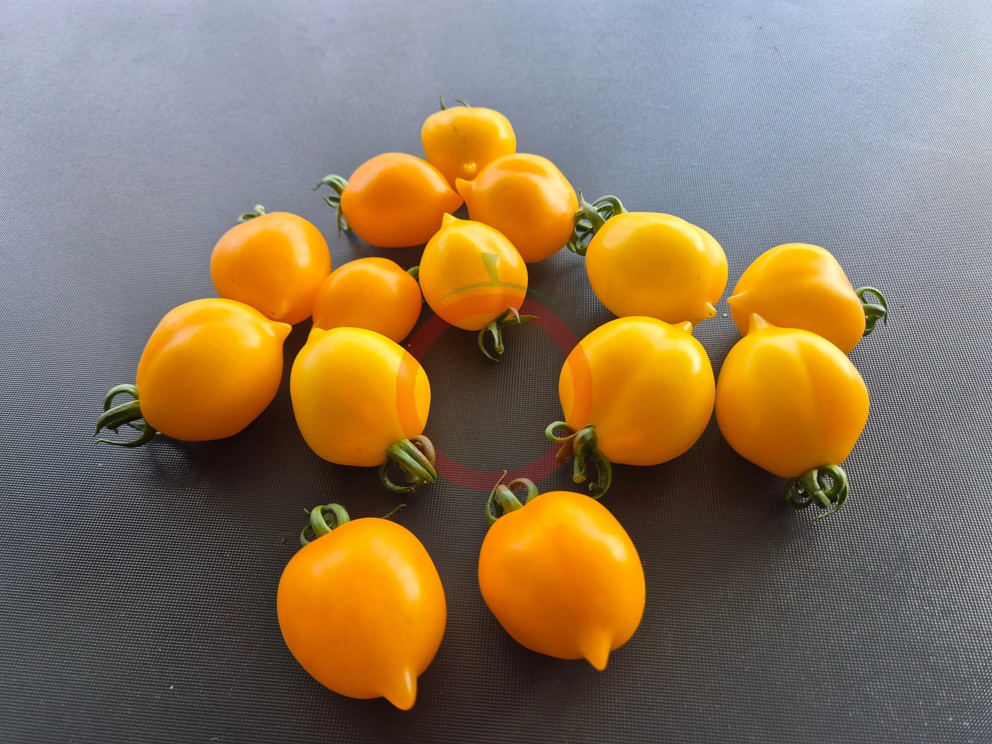 Giagiu DER TOMATENFLÜSTERER