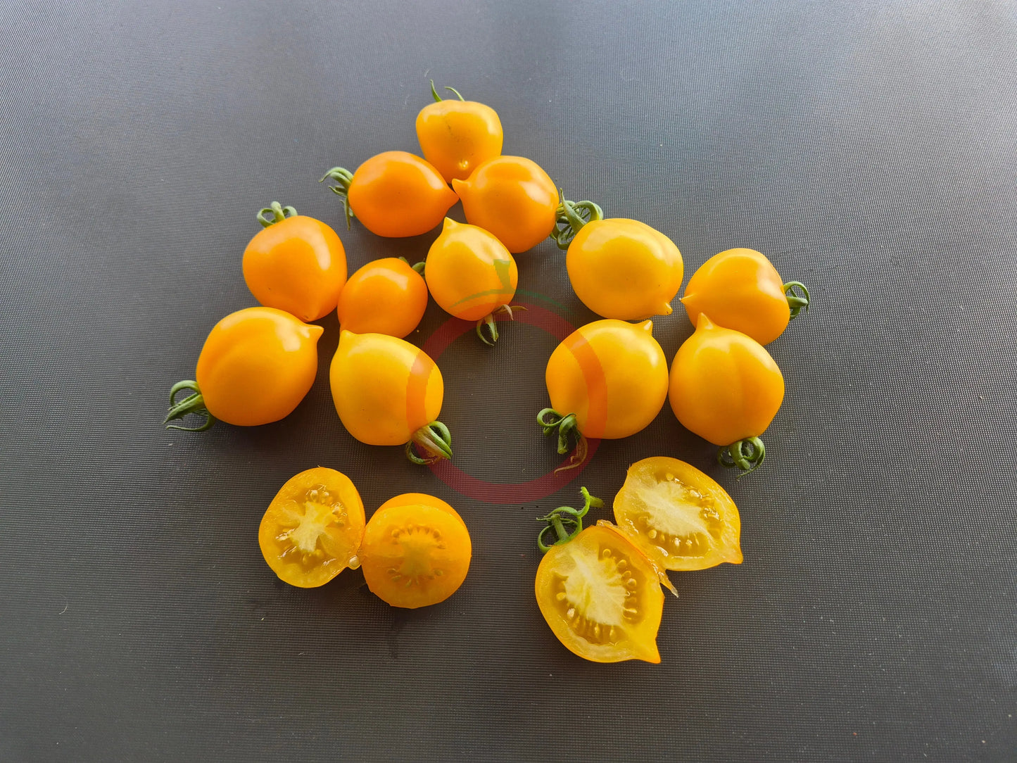 Giagiu DER TOMATENFLÜSTERER