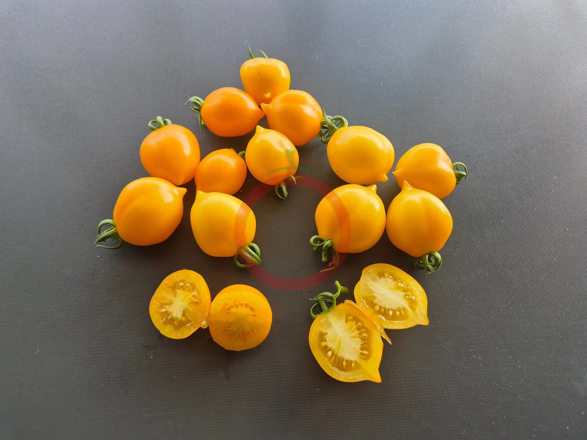 Giagiu DER TOMATENFLÜSTERER