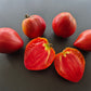 Giant Heart Climber DER TOMATENFLÜSTERER