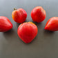 Giant Heart Climber DER TOMATENFLÜSTERER