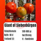 Giant of Siebenburgen DER TOMATENFLÜSTERER