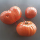 Giant of Siebenburgen DER TOMATENFLÜSTERER