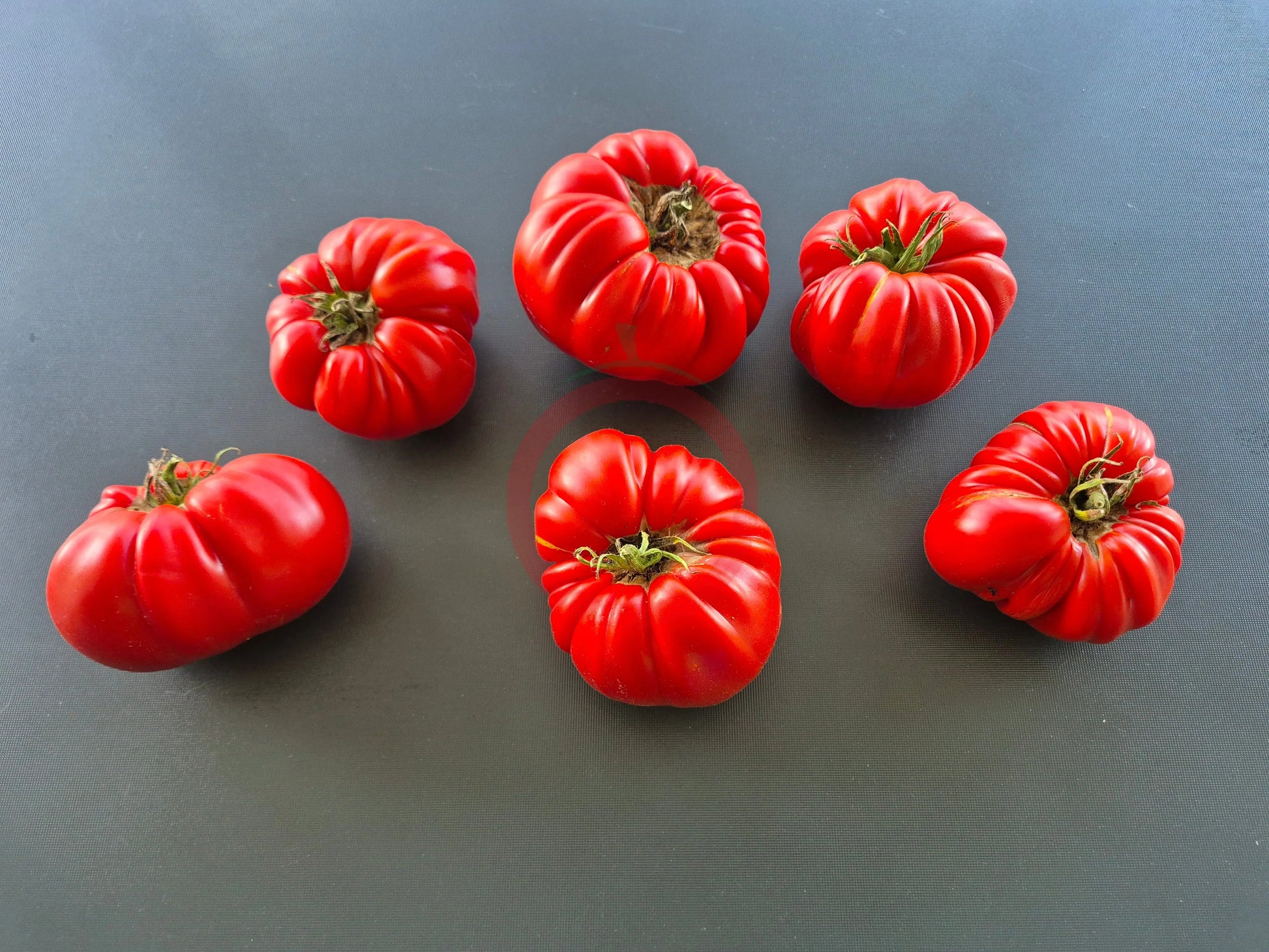 Gigante Farina DER TOMATENFLÜSTERER