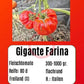 Gigante Farina DER TOMATENFLÜSTERER
