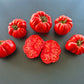 Gigante Farina DER TOMATENFLÜSTERER
