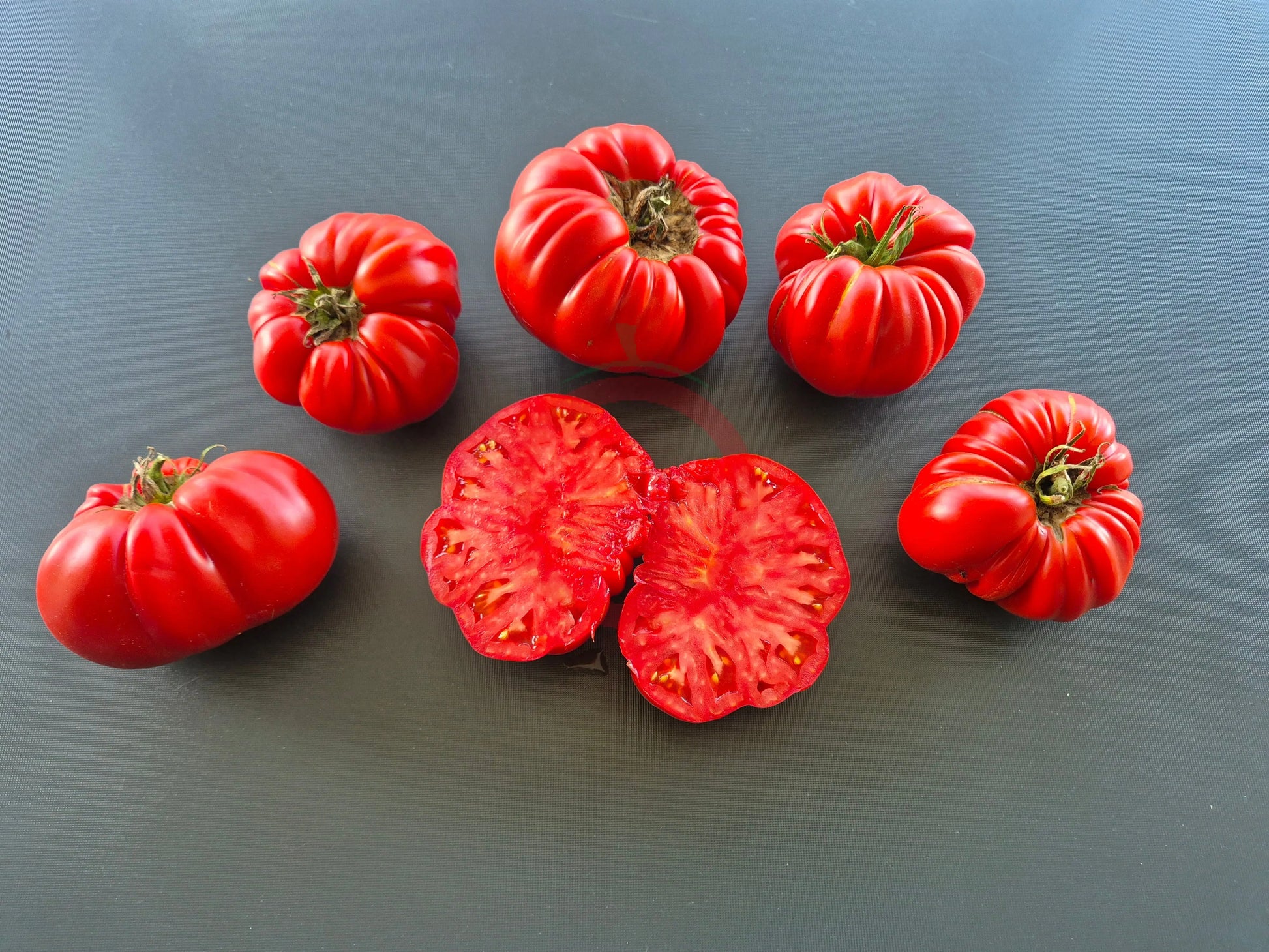 Gigante Farina DER TOMATENFLÜSTERER