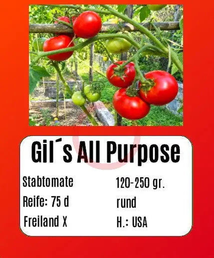 Gil´s All Purpose DER TOMATENFLÜSTERER