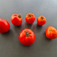 Gil´s All Purpose DER TOMATENFLÜSTERER