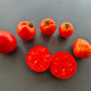 Gil´s All Purpose DER TOMATENFLÜSTERER