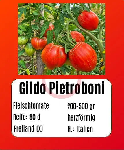 Gildo Pietroboni DER TOMATENFLÜSTERER