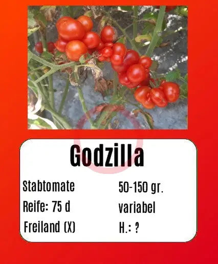 Godzilla DER TOMATENFLÜSTERER