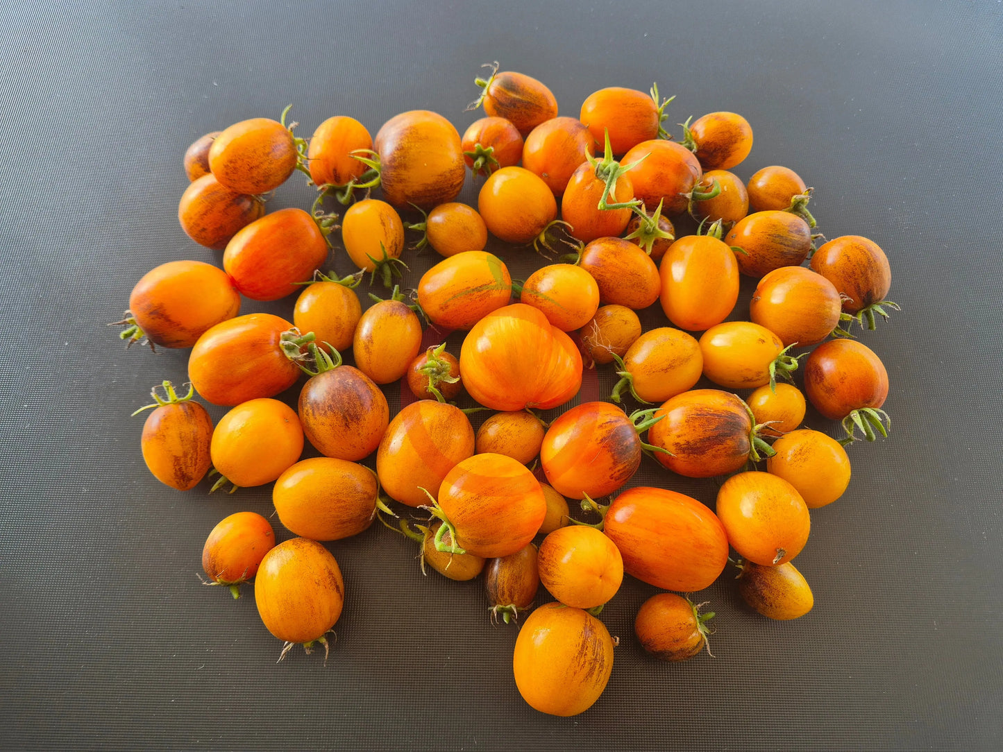 Golden Hour MD DER TOMATENFLÜSTERER