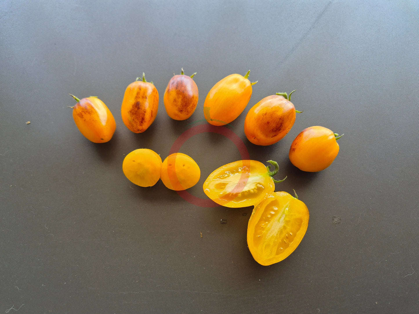 Golden Hour MD DER TOMATENFLÜSTERER