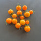 Goldita DER TOMATENFLÜSTERER