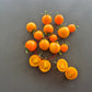 Goldita DER TOMATENFLÜSTERER