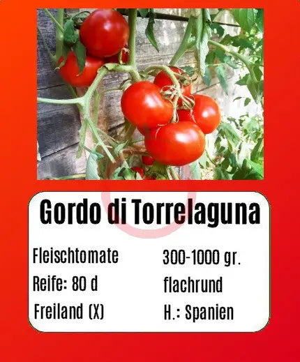 Gordo di Torrelaguna DER TOMATENFLÜSTERER