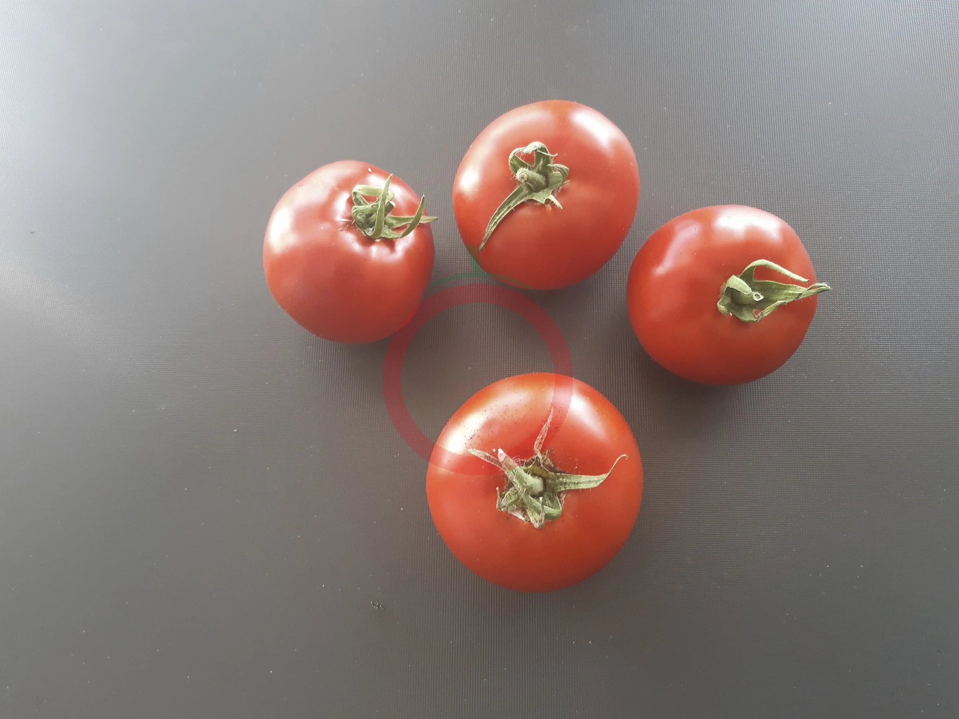 Gordo di Torrelaguna DER TOMATENFLÜSTERER